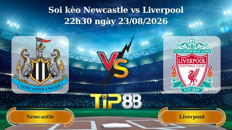 TIP88 Nhận định soi kèo Trận đấu Newcastle vs Liverpool – 22h30 ngày 23/08/2026 - Ngoại Hạng Anh